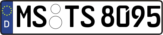 MS-TS8095