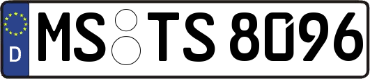 MS-TS8096