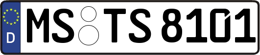 MS-TS8101