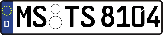 MS-TS8104