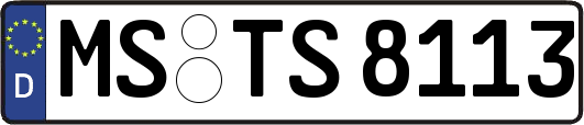 MS-TS8113