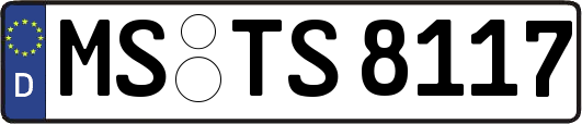 MS-TS8117