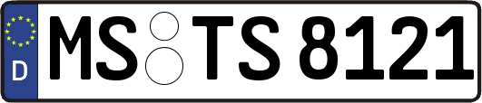 MS-TS8121