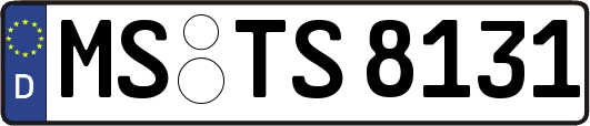 MS-TS8131
