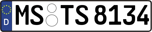 MS-TS8134