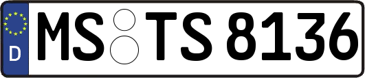 MS-TS8136