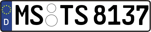 MS-TS8137