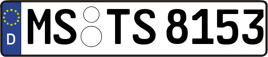 MS-TS8153