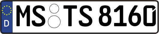 MS-TS8160