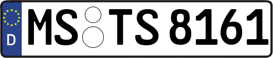 MS-TS8161