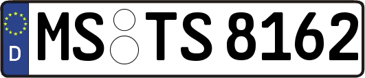 MS-TS8162