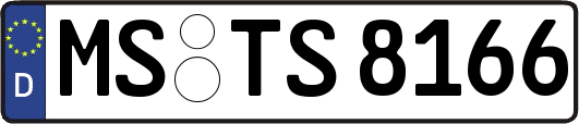 MS-TS8166