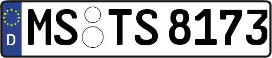 MS-TS8173