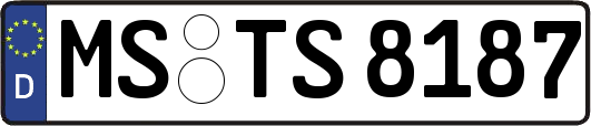 MS-TS8187