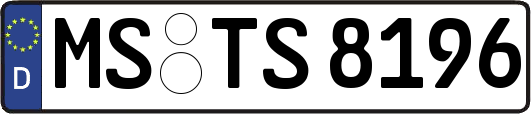 MS-TS8196