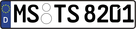 MS-TS8201