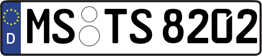 MS-TS8202