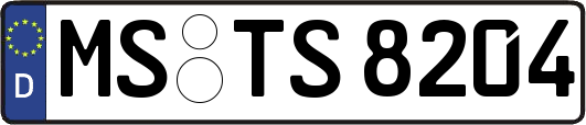MS-TS8204