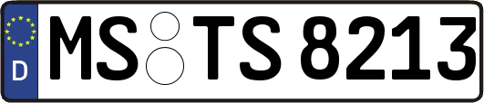 MS-TS8213