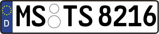 MS-TS8216