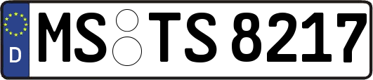 MS-TS8217