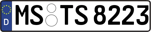 MS-TS8223