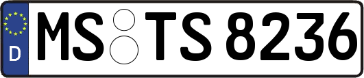 MS-TS8236