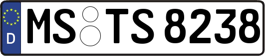 MS-TS8238