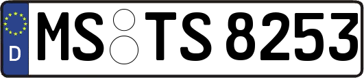 MS-TS8253