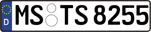 MS-TS8255