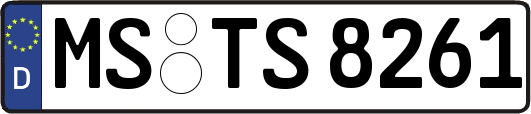 MS-TS8261
