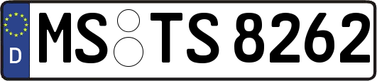 MS-TS8262