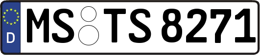 MS-TS8271