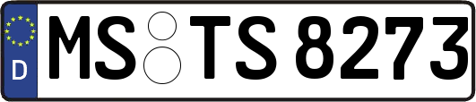 MS-TS8273