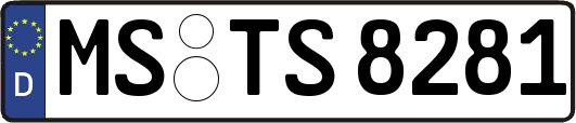 MS-TS8281