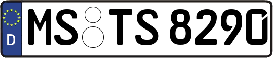 MS-TS8290