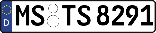 MS-TS8291