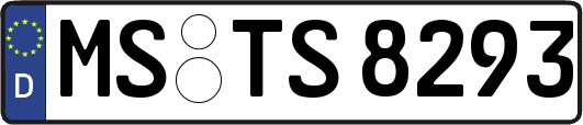 MS-TS8293