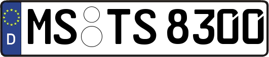 MS-TS8300