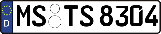 MS-TS8304