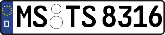 MS-TS8316