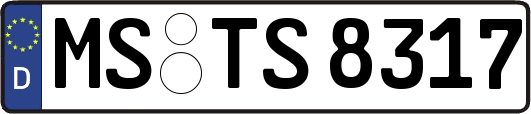 MS-TS8317