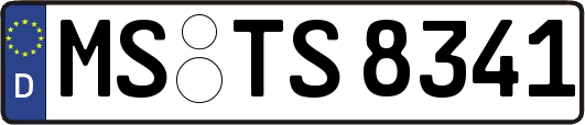 MS-TS8341
