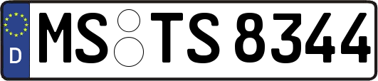 MS-TS8344