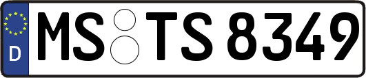 MS-TS8349