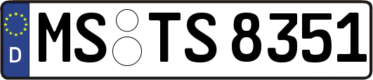 MS-TS8351
