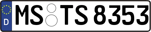 MS-TS8353