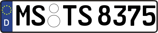 MS-TS8375