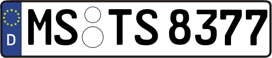 MS-TS8377