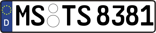 MS-TS8381